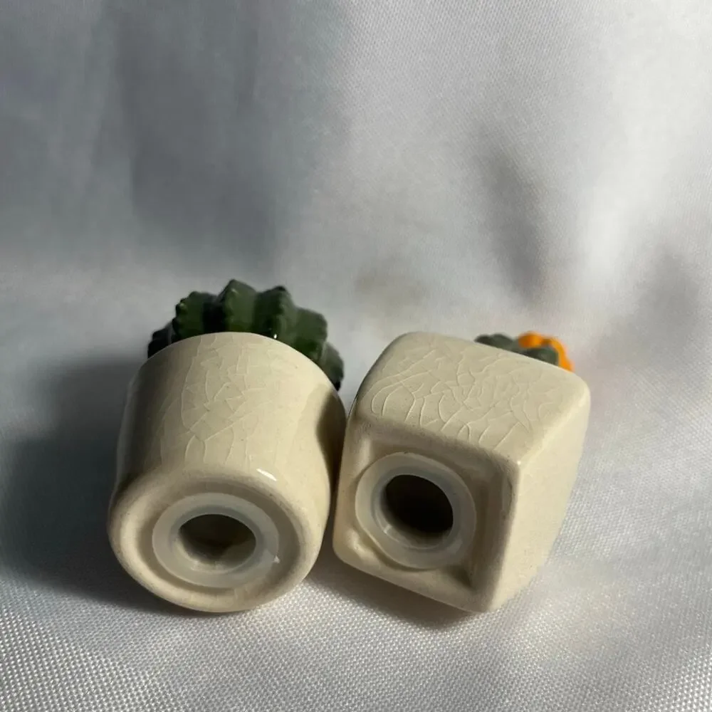 Vintage Succulents Cactus Salt & Pepper Shakers Small Pair Home Decor Western